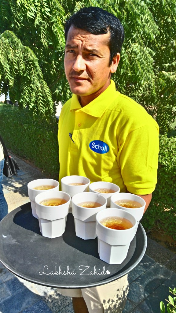 IMG_20151128_113226nn