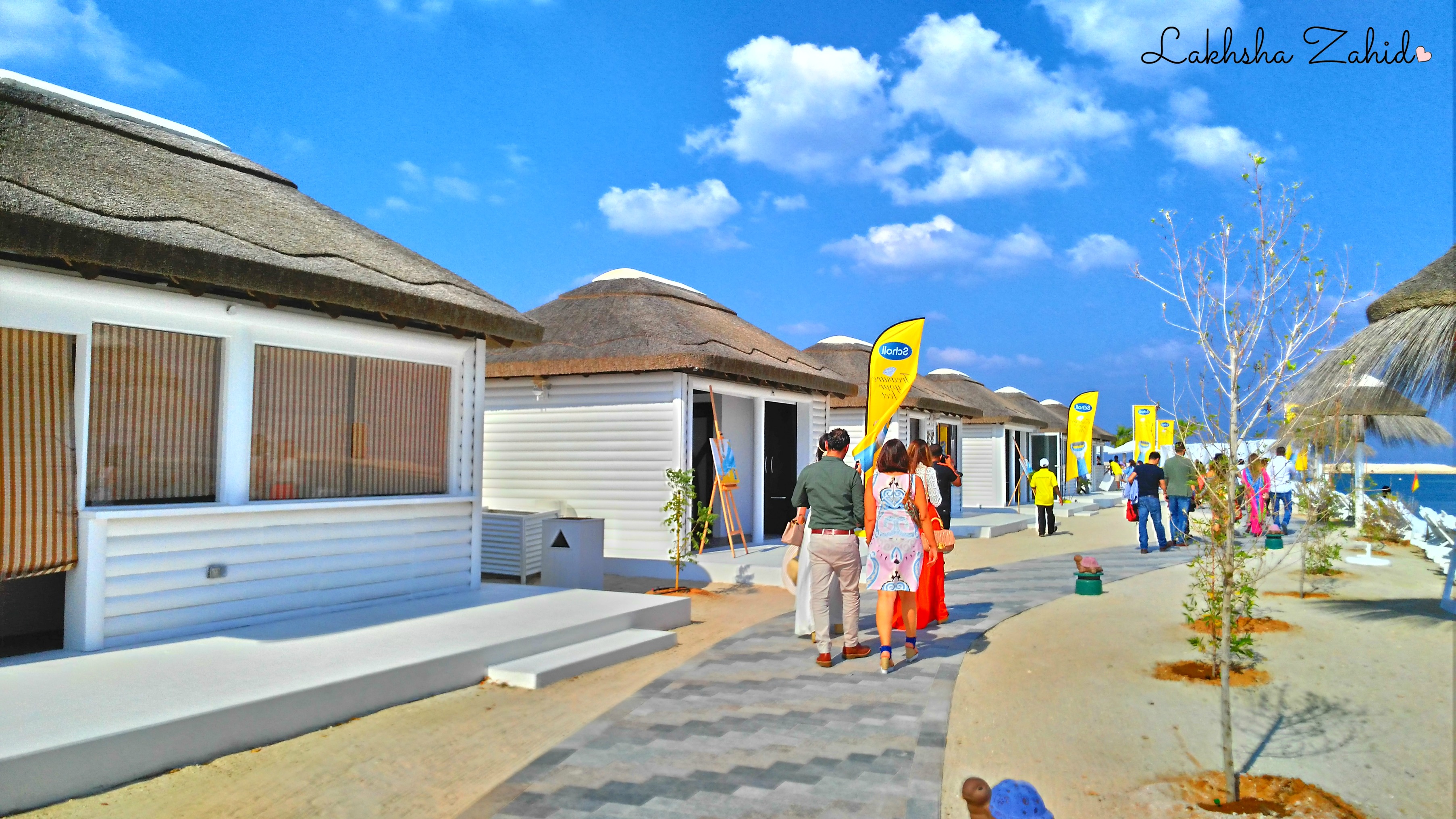 IMG_20151128_131517v